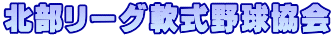 北部リーグ軟式野球協会